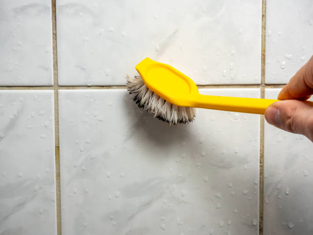 Best Residential Mold Remediation in Benson, NC