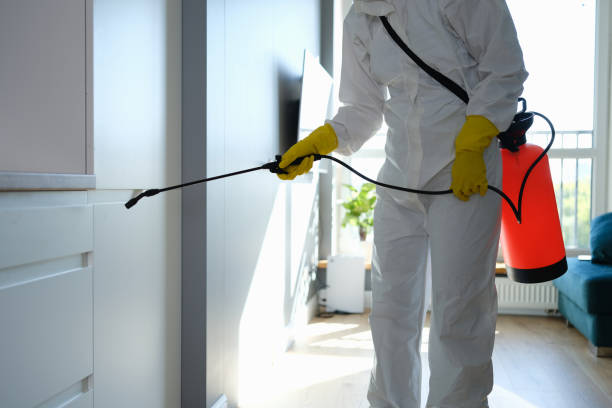 Professional Mold Remediation in Benson, NC