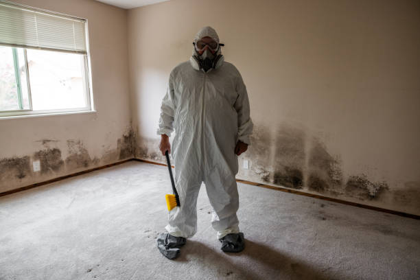 Best Mold Remediation for Specific Building Types in Benson, NC